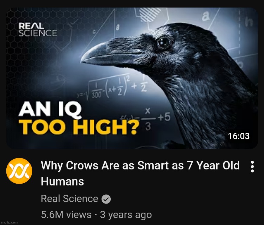 I found the original video | made w/ Imgflip meme maker