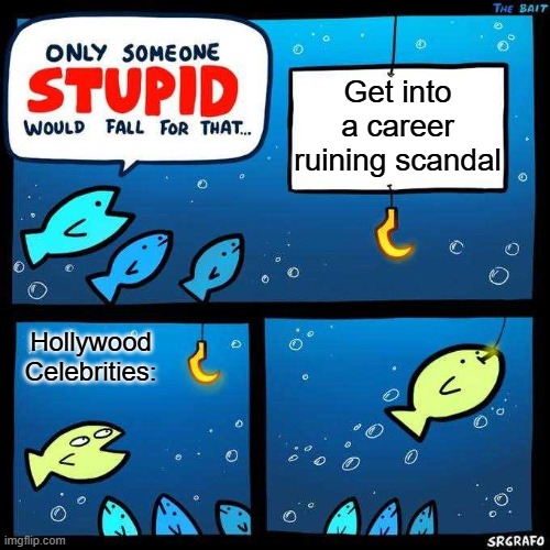 Only someone stupid would fall for that | Get into a career ruining scandal; Hollywood Celebrities: | image tagged in only someone stupid would fall for that | made w/ Imgflip meme maker