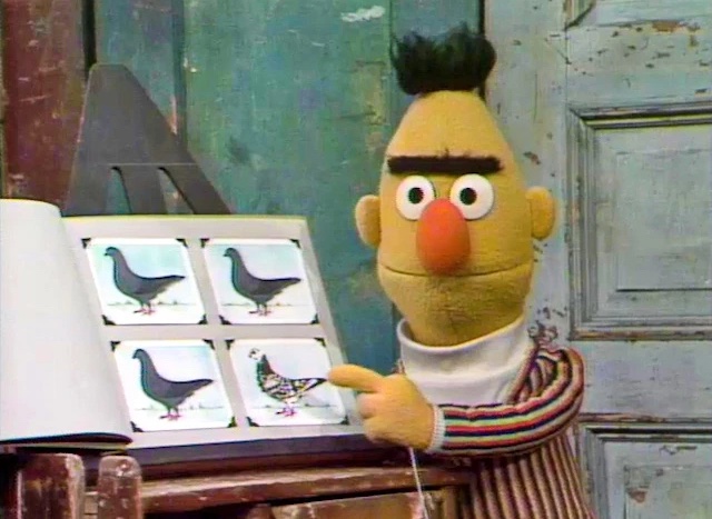 Mad Bert Blank Meme Template
