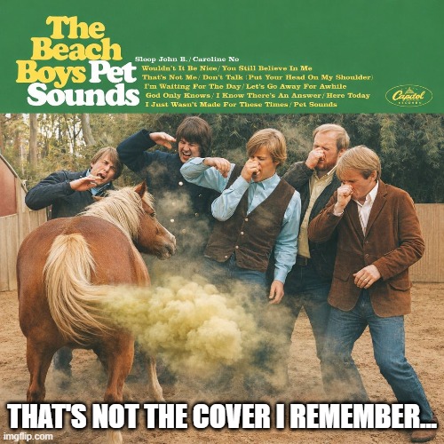 Beach Boys | THAT'S NOT THE COVER I REMEMBER... | image tagged in misuc,beach boys | made w/ Imgflip meme maker