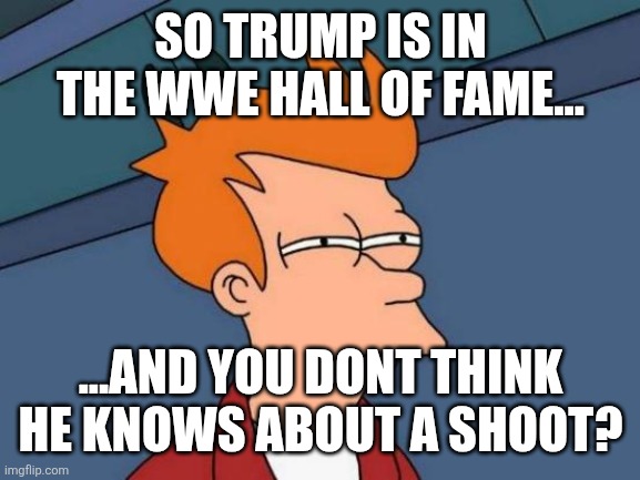 Work and a shoot.  Look it up. | SO TRUMP IS IN THE WWE HALL OF FAME... ...AND YOU DONT THINK HE KNOWS ABOUT A SHOOT? | image tagged in memes,futurama fry | made w/ Imgflip meme maker