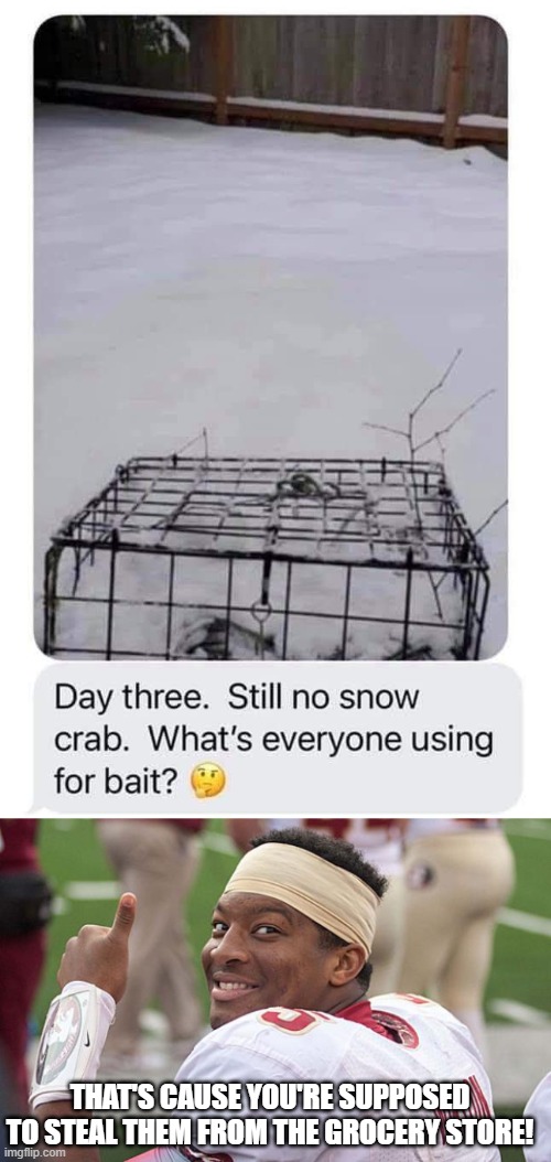 Snow Crab | THAT'S CAUSE YOU'RE SUPPOSED TO STEAL THEM FROM THE GROCERY STORE! | image tagged in jameis winston | made w/ Imgflip meme maker