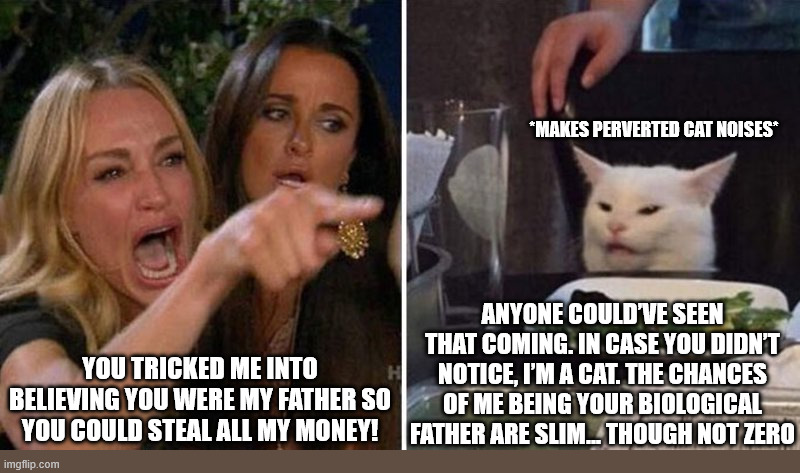 Statistically Unlikely | *MAKES PERVERTED CAT NOISES*; ANYONE COULD’VE SEEN THAT COMING. IN CASE YOU DIDN’T NOTICE, I’M A CAT. THE CHANCES OF ME BEING YOUR BIOLOGICAL FATHER ARE SLIM… THOUGH NOT ZERO; YOU TRICKED ME INTO BELIEVING YOU WERE MY FATHER SO YOU COULD STEAL ALL MY MONEY! | image tagged in woman argues with cat | made w/ Imgflip meme maker