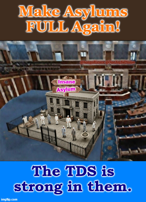 Make Asylums FULL Again! | @SongofGrace @OneJoyfulNoise | made w/ Imgflip meme maker
