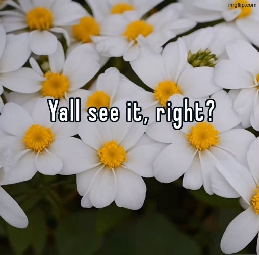 Thomain expantion | made w/ Imgflip meme maker