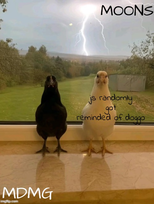 mdmg n moons shared temp | js randomly got reminded of doggo | image tagged in mdmg n moons shared temp | made w/ Imgflip meme maker