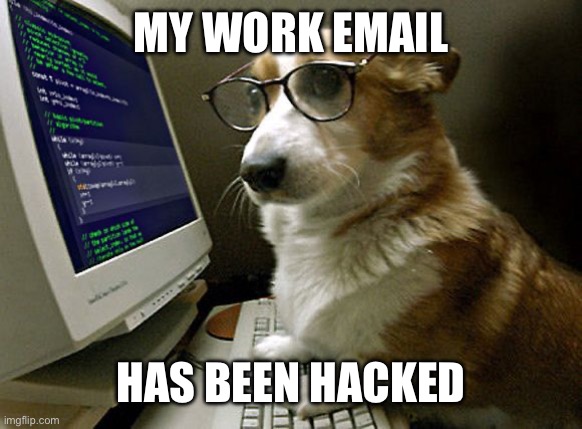 corgi hacker | MY WORK EMAIL; HAS BEEN HACKED | image tagged in corgi hacker | made w/ Imgflip meme maker