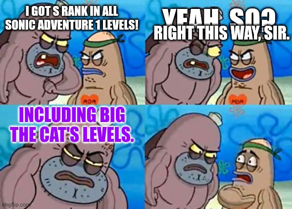 If You Did This, You Have My Respect. | YEAH, SO? I GOT S RANK IN ALL SONIC ADVENTURE 1 LEVELS! RIGHT THIS WAY, SIR. INCLUDING BIG THE CAT'S LEVELS. | image tagged in memes,how tough are you | made w/ Imgflip meme maker