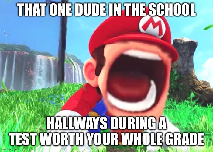 School Hallways | THAT ONE DUDE IN THE SCHOOL; HALLWAYS DURING A TEST WORTH YOUR WHOLE GRADE | image tagged in mario screaming | made w/ Imgflip meme maker