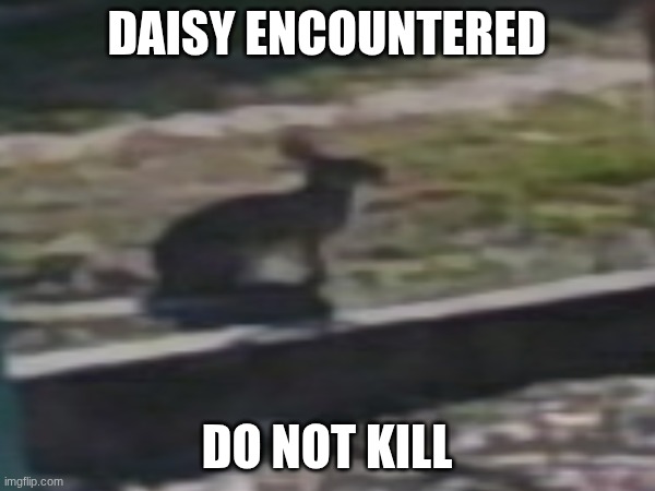 DAISY ENCOUNTERED DO NOT KILL | made w/ Imgflip meme maker