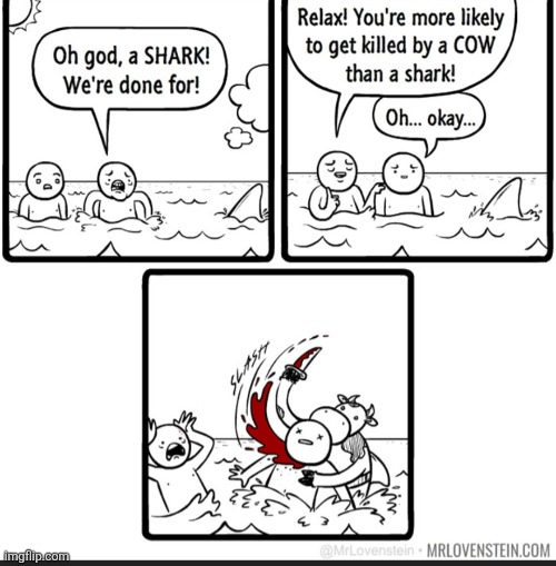 image tagged in comics,dark humor,shark,cow,statistics,unexpected | made w/ Imgflip meme maker