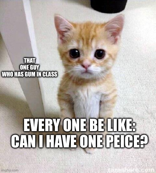 Cute Cat Meme | THAT ONE GUY WHO HAS GUM IN CLASS; EVERY ONE BE LIKE: CAN I HAVE ONE PEICE? | image tagged in memes,cute cat | made w/ Imgflip meme maker