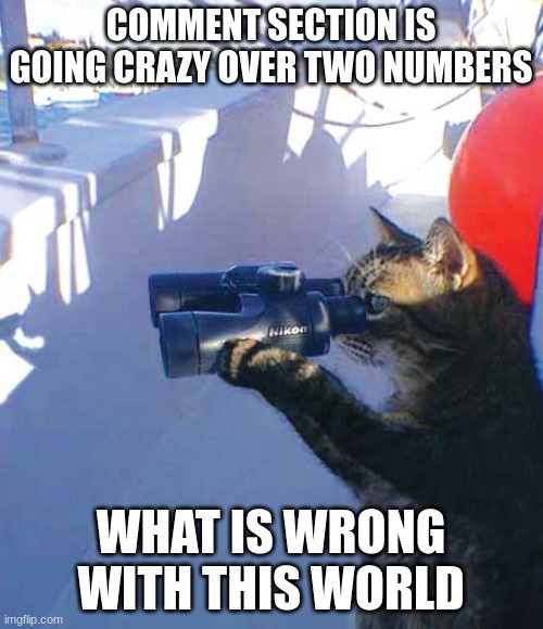Cat with binoculars  | COMMENT SECTION IS GOING CRAZY OVER TWO NUMBERS; WHAT IS WRONG WITH THIS WORLD | image tagged in cat with binoculars | made w/ Imgflip meme maker