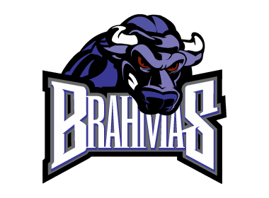 Lone Star Brahmas Meme Template