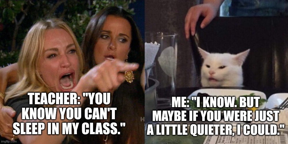 Roasted | ME: "I KNOW. BUT MAYBE IF YOU WERE JUST A LITTLE QUIETER, I COULD."; TEACHER: "YOU KNOW YOU CAN'T SLEEP IN MY CLASS." | image tagged in cat screaming at the cat,school,comeback jokes,slay,random,roast the teacher | made w/ Imgflip meme maker