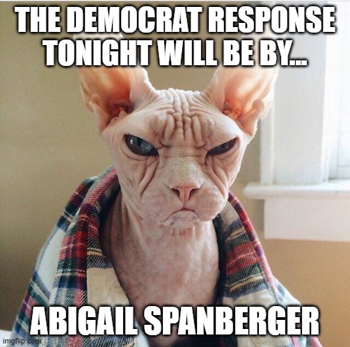 Angry hairless cat | THE DEMOCRAT RESPONSE TONIGHT WILL BE BY... ABIGAIL SPANBERGER | image tagged in angry hairless cat,virginia,democrats,lol | made w/ Imgflip meme maker