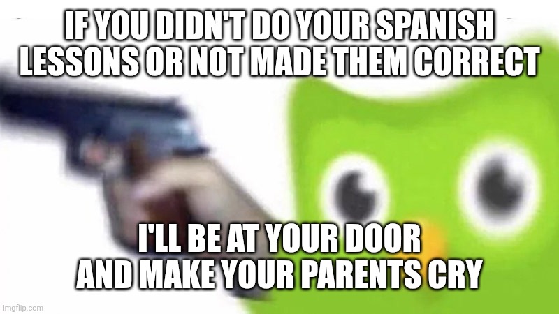duolingo gun | IF YOU DIDN'T DO YOUR SPANISH LESSONS OR NOT MADE THEM CORRECT I'LL BE AT YOUR DOOR AND MAKE YOUR PARENTS CRY | image tagged in duolingo gun | made w/ Imgflip meme maker