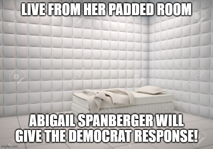 padded room | LIVE FROM HER PADDED ROOM; ABIGAIL SPANBERGER WILL GIVE THE DEMOCRAT RESPONSE! | image tagged in padded room,virginia,democrats,mental illness,lol | made w/ Imgflip meme maker