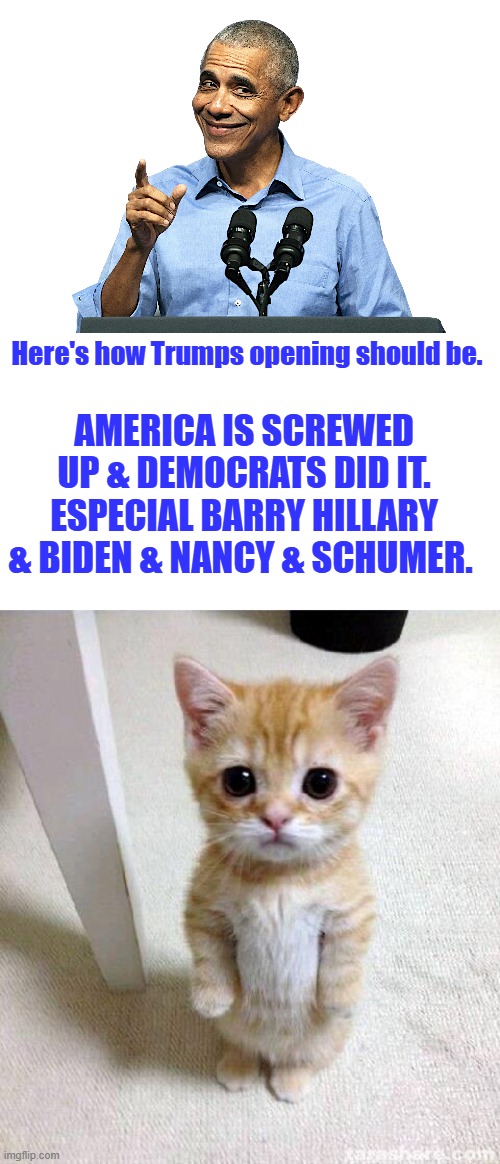 It's the Truth.. | Here's how Trumps opening should be. AMERICA IS SCREWED UP & DEMOCRATS DID IT. ESPECIAL BARRY HILLARY & BIDEN & NANCY & SCHUMER. | image tagged in obama - sneaky shit,memes,cute cat | made w/ Imgflip meme maker