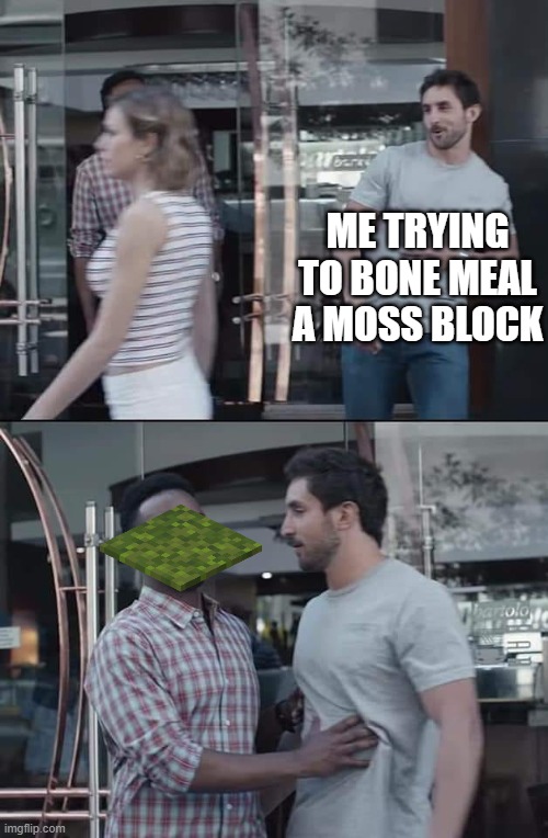 every time i swear | ME TRYING TO BONE MEAL A MOSS BLOCK | image tagged in black guy stopping | made w/ Imgflip meme maker