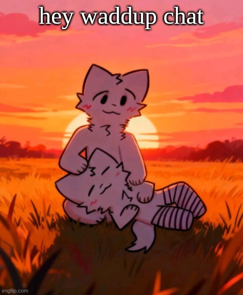 That0neguy announcement temp | hey waddup chat | image tagged in that0neguy announcement temp | made w/ Imgflip meme maker