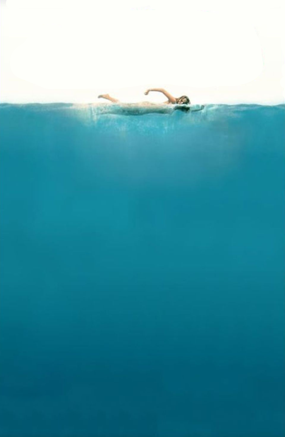 JAWS poster template Blank Meme Template