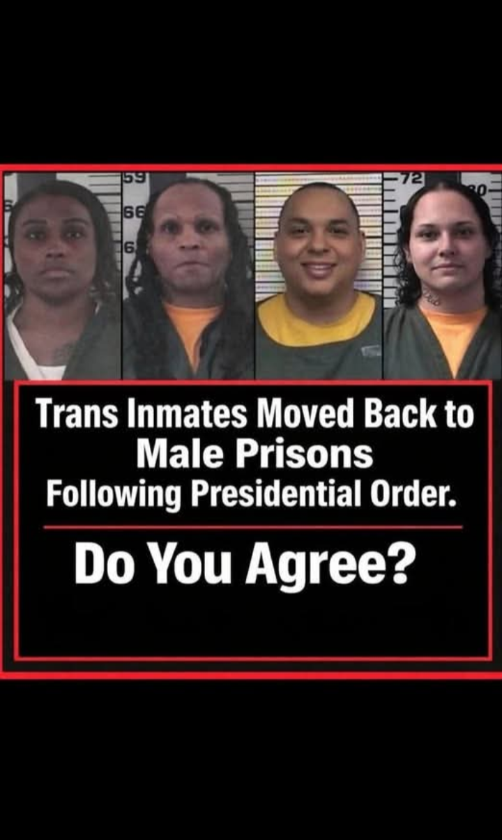 Funny Blank Meme Template