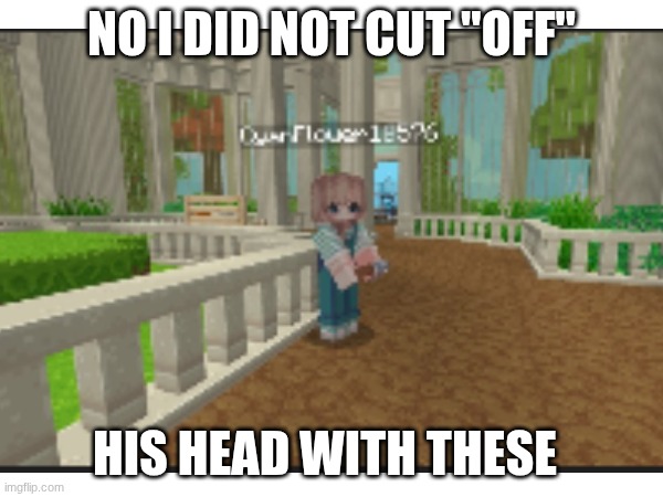 silly | NO I DID NOT CUT "OFF"; HIS HEAD WITH THESE | image tagged in minecraft memes | made w/ Imgflip meme maker
