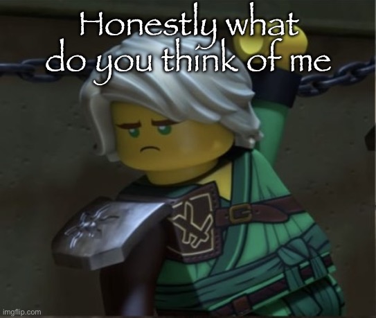 Lloyd is disappointed | Honestly what do you think of me | image tagged in lloyd is disappointed | made w/ Imgflip meme maker