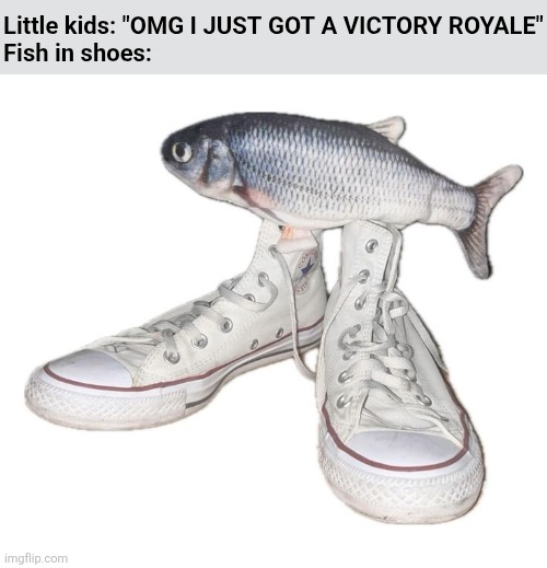 fih | Little kids: "OMG I JUST GOT A VICTORY ROYALE"
Fish in shoes: | image tagged in fihs,kids these days | made w/ Imgflip meme maker