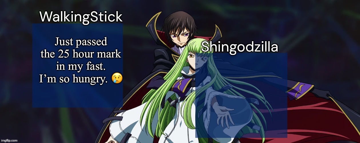 11 more hours left thank god I can sleep | Just passed the 25 hour mark in my fast. I’m so hungry. 😢 | image tagged in walkingstick and shingodzilla,msmg | made w/ Imgflip meme maker