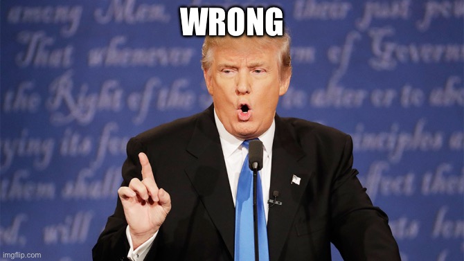Donald Trump Wrong | WRONG | image tagged in donald trump wrong | made w/ Imgflip meme maker