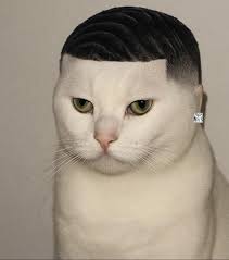 Preciate It Big Dawg Blank Meme Template