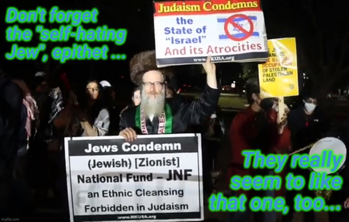 Don't forget the "self-hating Jew", epithet ... They really seem to like that one, too... | made w/ Imgflip meme maker