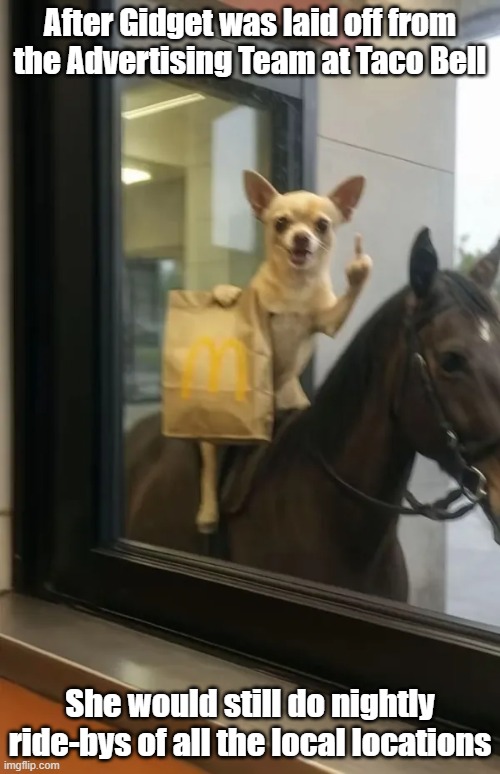 Yo Quiero Taco Bell | After Gidget was laid off from the Advertising Team at Taco Bell; She would still do nightly ride-bys of all the local locations | image tagged in dog,taco bell,finger,angry | made w/ Imgflip meme maker