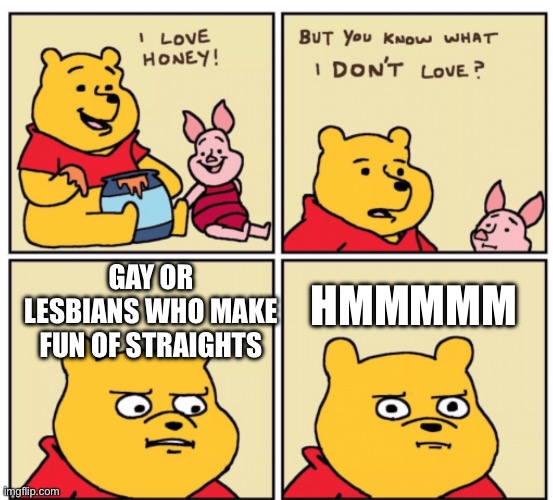 Winnie the Pooh but you know what I don’t like | HMMMMM; GAY OR LESBIANS WHO MAKE FUN OF STRAIGHTS | image tagged in winnie the pooh but you know what i don t like,lgbtq | made w/ Imgflip meme maker