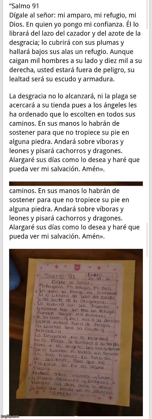 Cartel rats last letter | image tagged in mexico | made w/ Imgflip meme maker