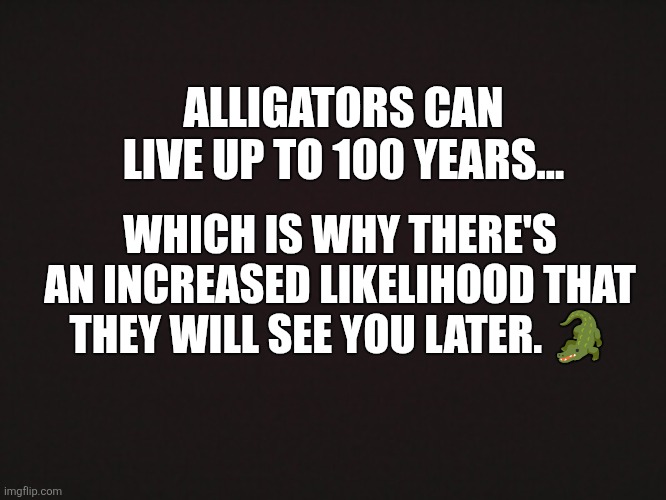 Fun fact | ALLIGATORS CAN LIVE UP TO 100 YEARS... WHICH IS WHY THERE'S AN INCREASED LIKELIHOOD THAT THEY WILL SEE YOU LATER. 🐊 | image tagged in blank template | made w/ Imgflip meme maker