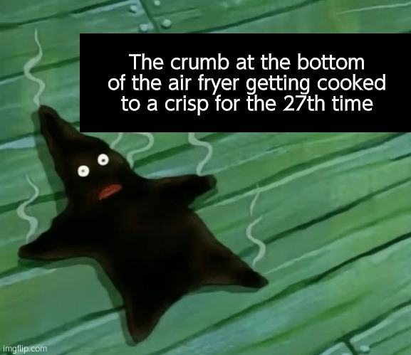 The crumb at the bottom of the air fryer getting cooked to a crisp for the 27th time | image tagged in fun,funny memes,relatable,relatable memes | made w/ Imgflip meme maker