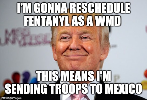 Donald trump approves | I'M GONNA RESCHEDULE FENTANYL AS A WMD; THIS MEANS I'M SENDING TROOPS TO MEXICO | image tagged in donald trump approves | made w/ Imgflip meme maker