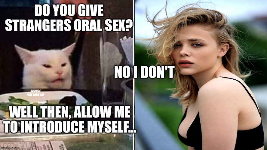 Reverse Smudge that darn cat | DO YOU GIVE STRANGERS ORAL SEX? NO I DON'T; WELL THEN, ALLOW ME TO INTRODUCE MYSELF... | image tagged in reverse smudge that darn cat | made w/ Imgflip meme maker
