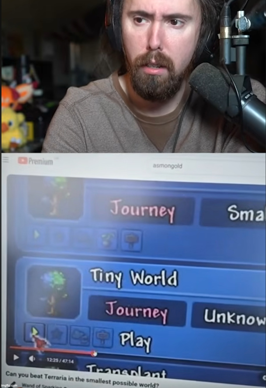 why the hell is my terraria youtuber goat on his stream | made w/ Imgflip meme maker