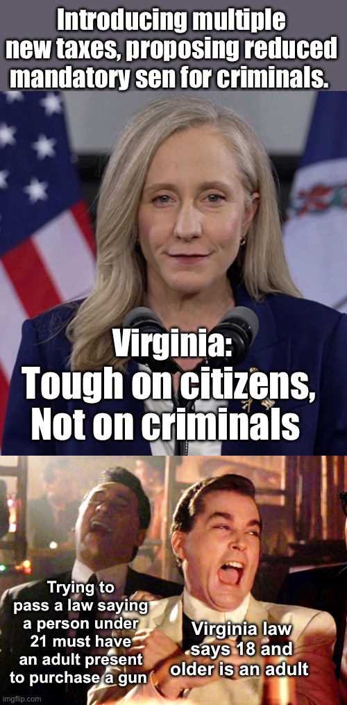 Virginia | Introducing multiple new taxes, proposing reduced mandatory sen for criminals. Virginia:; Tough on citizens, Not on criminals; Trying to pass a law saying a person under 21 must have an adult present to purchase a gun; Virginia law says 18 and older is an adult | image tagged in memes,good fellas hilarious,politics lol | made w/ Imgflip meme maker
