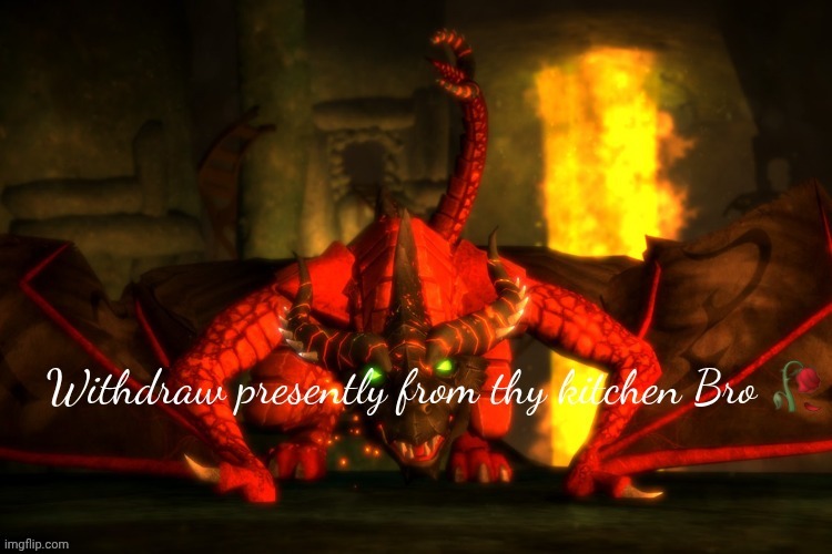 Withdraw presently from thy kitchen Bro | image tagged in withdraw presently from thy kitchen bro | made w/ Imgflip meme maker