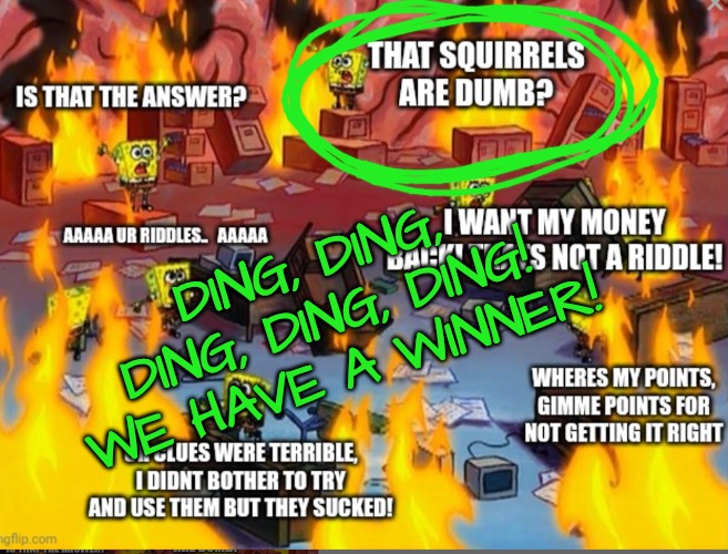 DING, DING, DING, DING, DING! WE HAVE A WINNER! | made w/ Imgflip meme maker