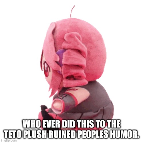 WHO EVER DID THIS TO THE TETO PLUSH RUINED PEOPLES HUMOR. | made w/ Imgflip meme maker
