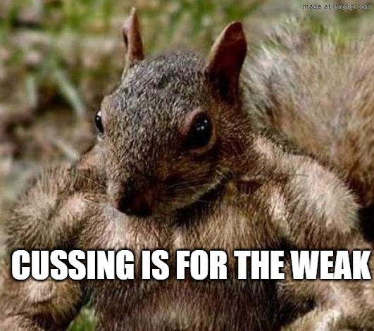 Muscle squirrel | CUSSING IS FOR THE WEAK | image tagged in muscle squirrel | made w/ Imgflip meme maker