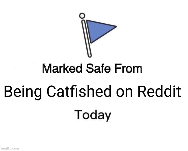 Marked Safe From Meme | Being Catfished on Reddit | image tagged in memes,reddit,safety | made w/ Imgflip meme maker