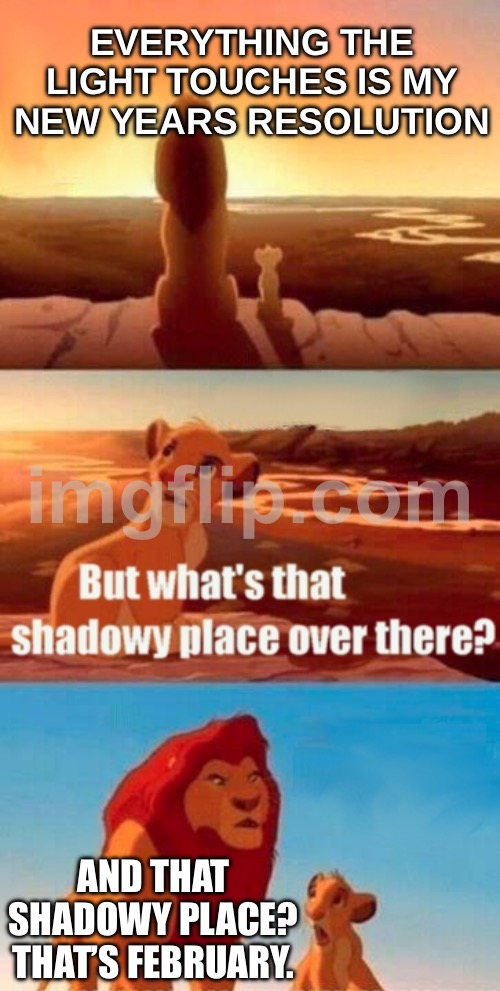 EVERYTHING THE LIGHT TOUCHES IS MY NEW YEARS RESOLUTION; AND THAT SHADOWY PLACE? THAT’S FEBRUARY. | EVERYTHING THE LIGHT TOUCHES IS MY NEW YEARS RESOLUTION; AND THAT SHADOWY PLACE? THAT’S FEBRUARY. | image tagged in memes,simba shadowy place,new year,new year resolutions,new years resolutions,february | made w/ Imgflip meme maker