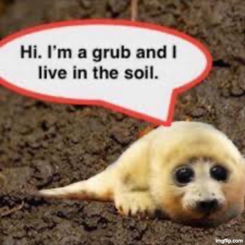 gm | made w/ Imgflip meme maker